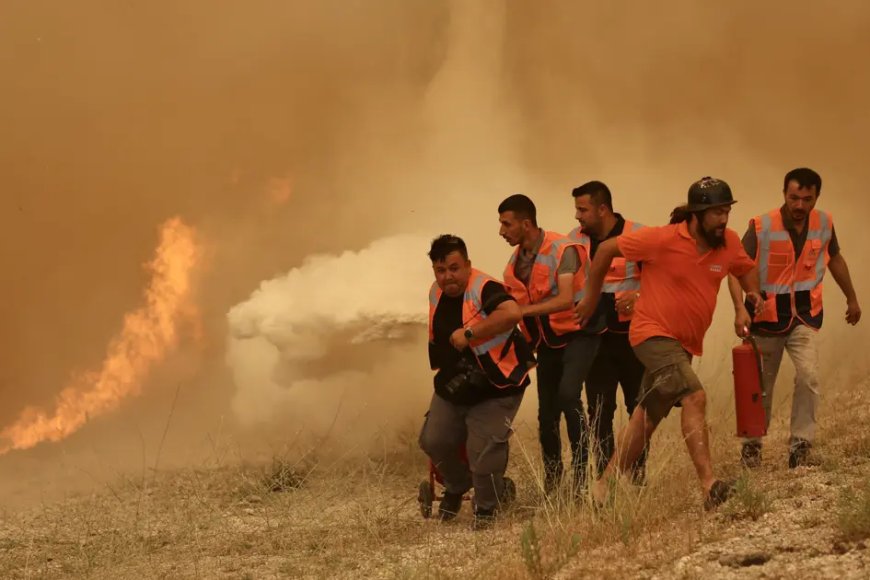 Görüntüler Muğla'dan: Ekipler yangını söndürmek için seferber oldu