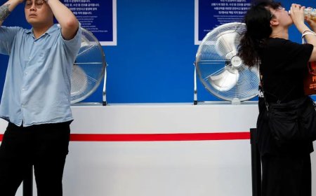 Güney Kore'de rekor sıcaklık. Termometreler 42,5 dereceyi gösterdi