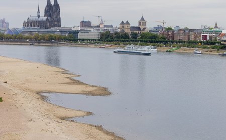 Almanya kuraklıkla boğuşurken Ren Nehri tarihi dip seviyeyi gördü