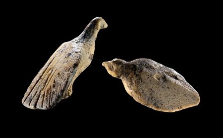Alman mağarasında 40.000 yıllık mamut dişinden kuş figürleri bulundu