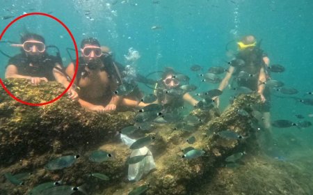 Annesi yaşamını yitirmişti, kızı Instagram'da yakaladı! Ölümlü scuba diving sanığı yine dalışta