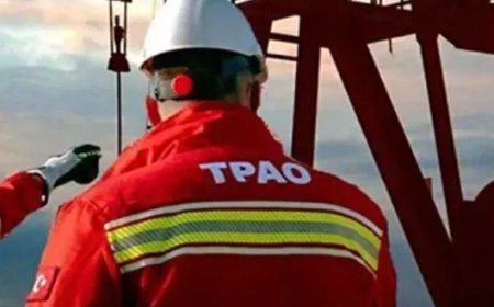 İki ilde daha petrol aranacak: TPAO ruhsat verdi