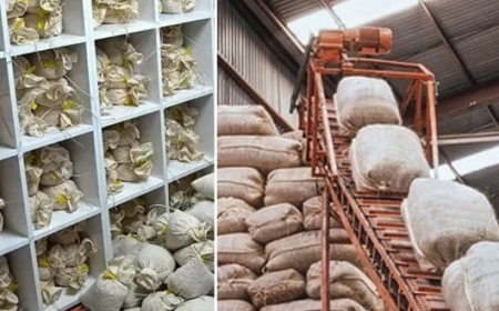 Kurallar değişti yeni şartlar belli oldu: Ticaret Bakanlığı artık izin vermeyecek