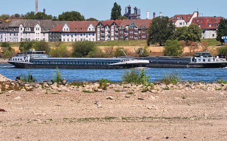 Almanya'da Ren Nehri'nde su seviyesi kuraklık nedeniyle düşük kaldı