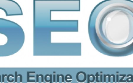 Muş Seo Danışmanlığı