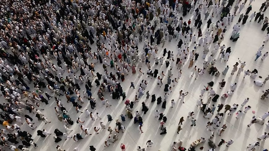Araştırmacılar: 'Dünya nüfusu 2200 yılına kadar 4 milyara düşmeli'