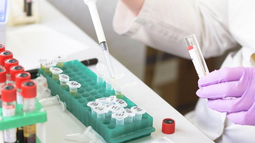 Kanser, İspanya'da bağış vasiyetlerine ilgiyi artırdı