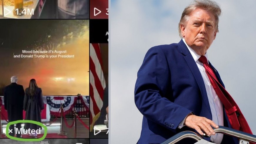 Taylor Swift'ten Trump'a telif darbesi: Videodaki şarkısı kaldırıldı!
