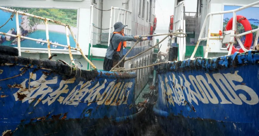 Dolphin Tayfunu Japonya'yı vurdu, Çin limanları kapattı