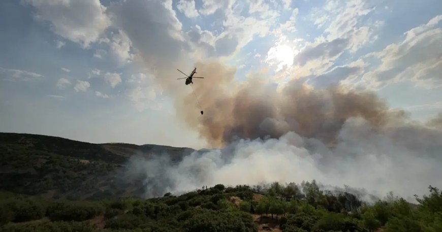 Manisa'da orman yangını. Havadan ve karadan müdahale sürüyor