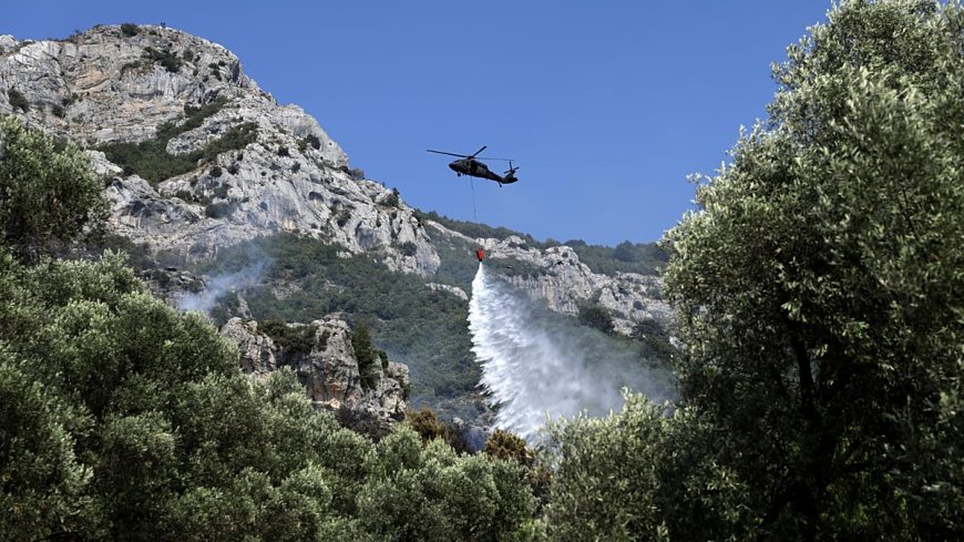 Sıcak hava dalgası: Batı Avrupa'da rekor kırıldı, küresel çapta 900 milyon kişi etkilendi