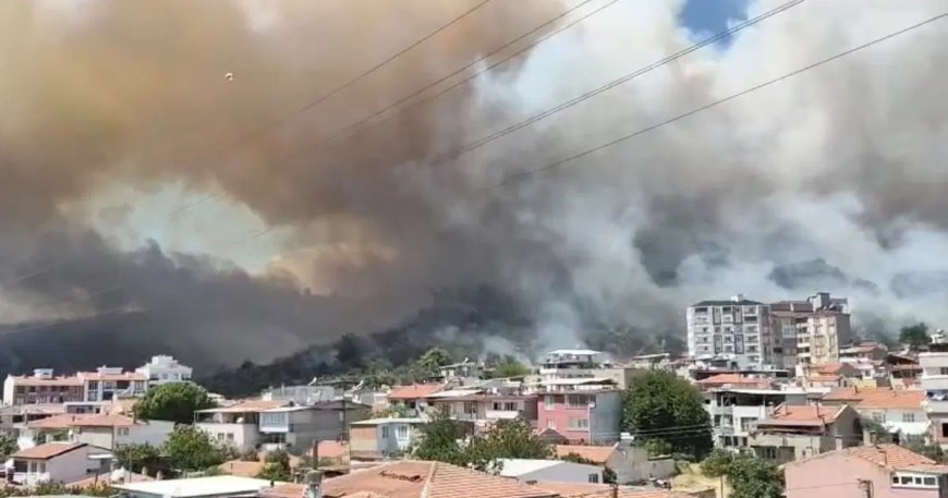 Balıkesir'de orman yangını. Alevler yerleşim yerlerine zarar verdi