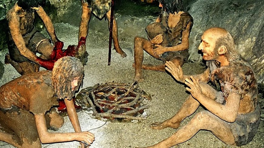 Yeni kalıntılar gün yüzüne çıktı: Neandertaller yamyamlık mı yapıyordu?