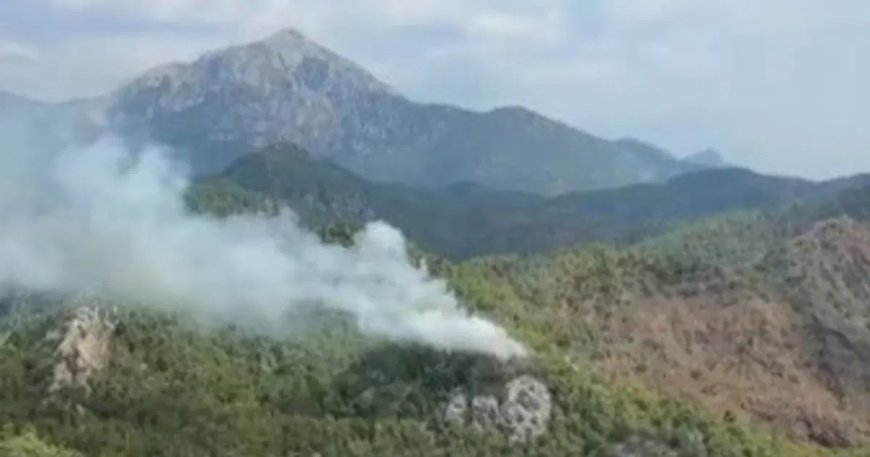 Antalya ve Balıkesir'de orman yangını