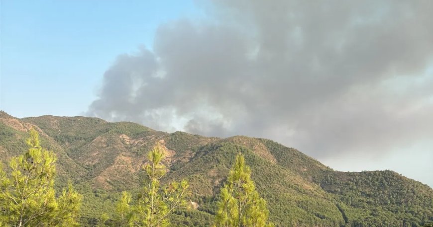 Muğla'nın Marmaris ilçesinde çıkan orman yangınına müdahale ediliyor.