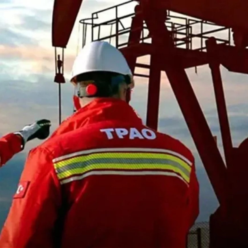 İki ilde daha petrol aranacak: TPAO ruhsat verdi