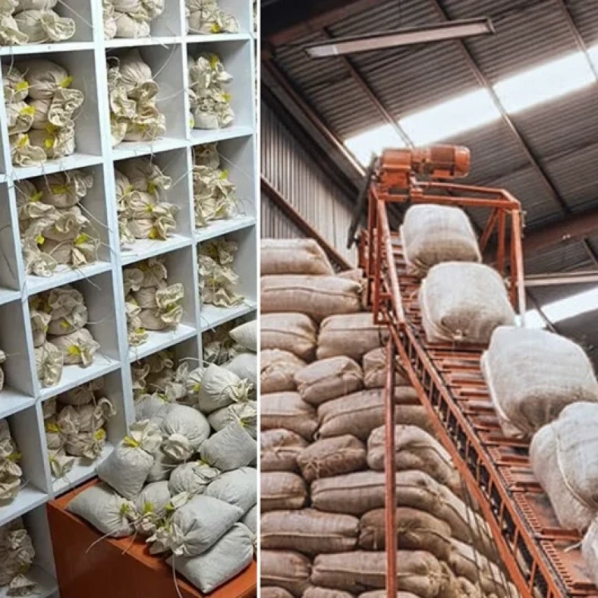 Kurallar değişti yeni şartlar belli oldu: Ticaret Bakanlığı artık izin vermeyecek