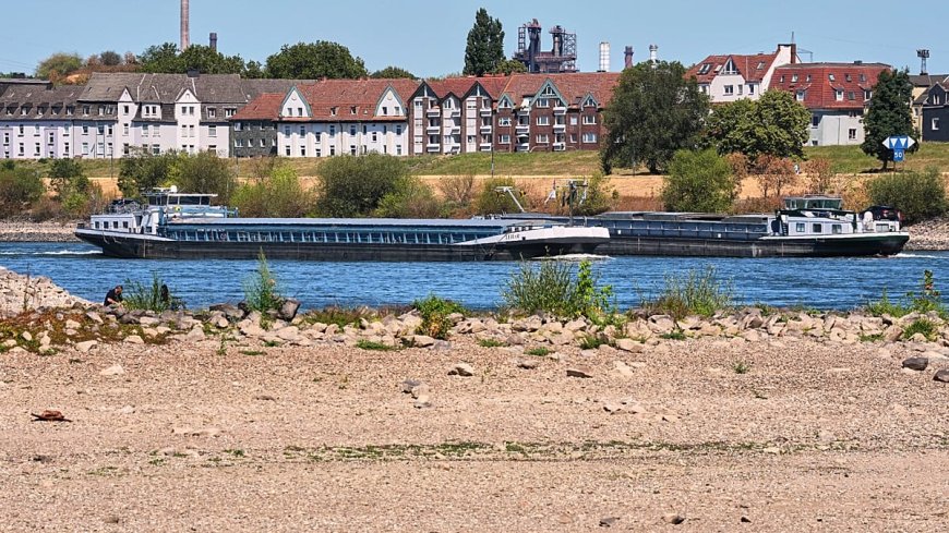 Almanya'da Ren Nehri'nde su seviyesi kuraklık nedeniyle düşük kaldı